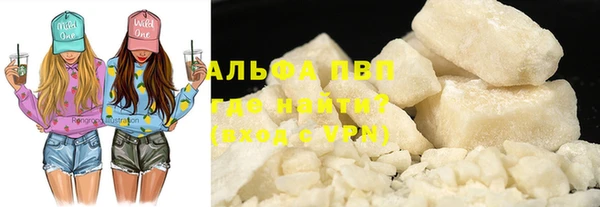 PSILOCYBIN Балабаново