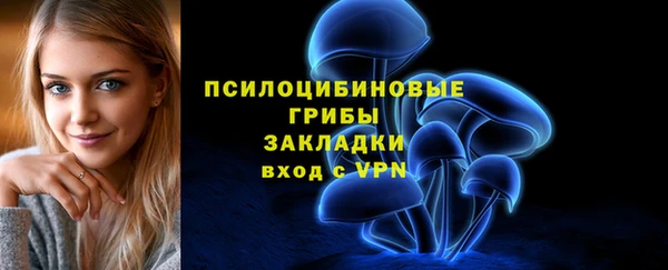 PSILOCYBIN Балабаново