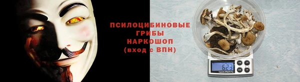 PSILOCYBIN Балабаново