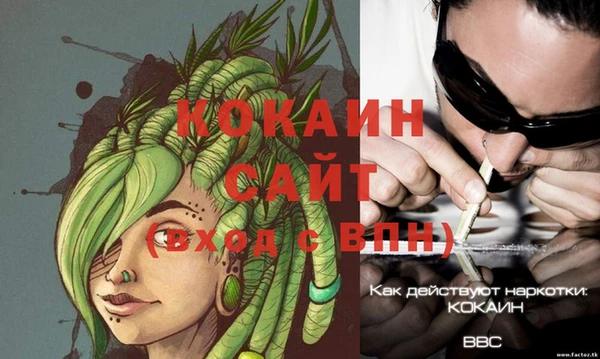 PSILOCYBIN Балабаново